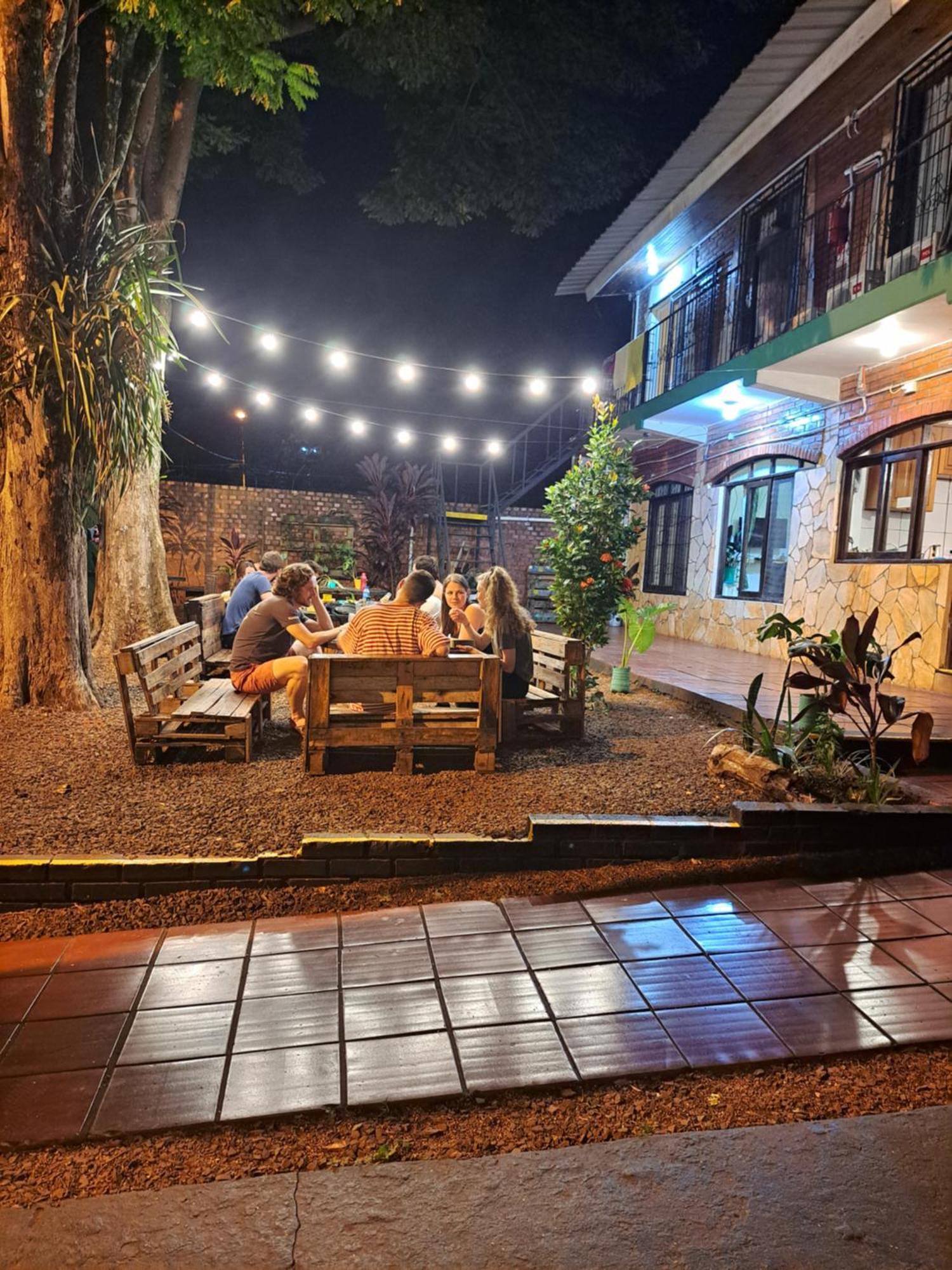 Benteveo Iguazu